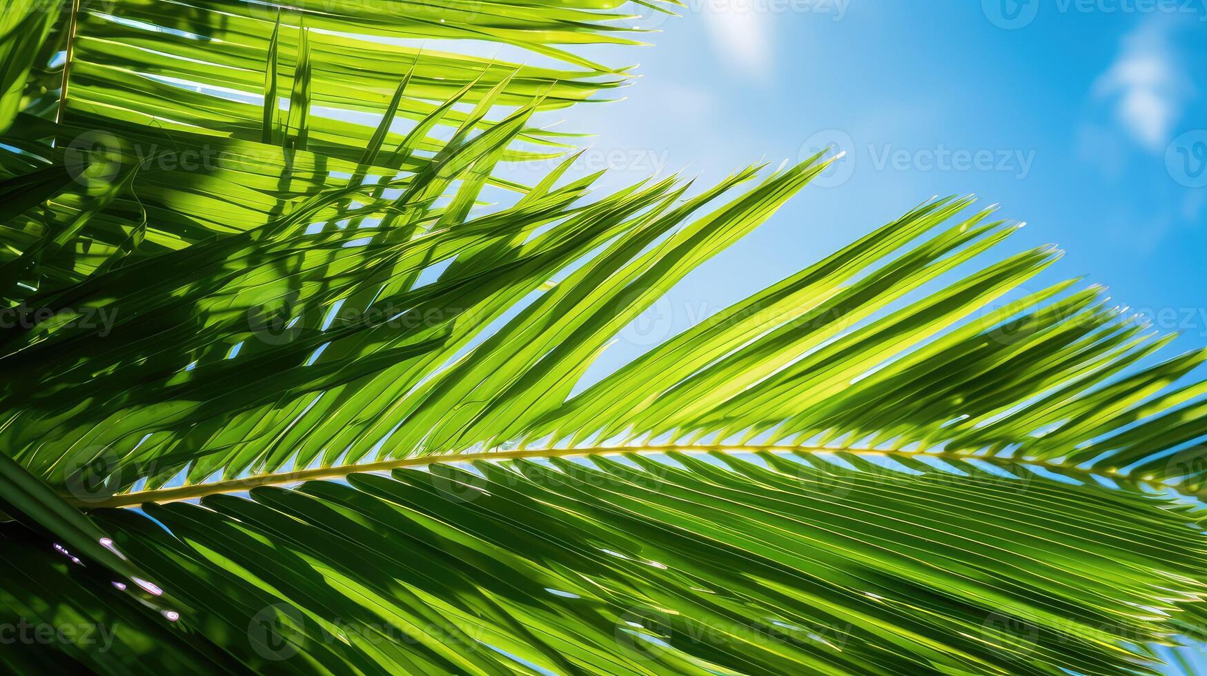 vibrant tropical leaves photo