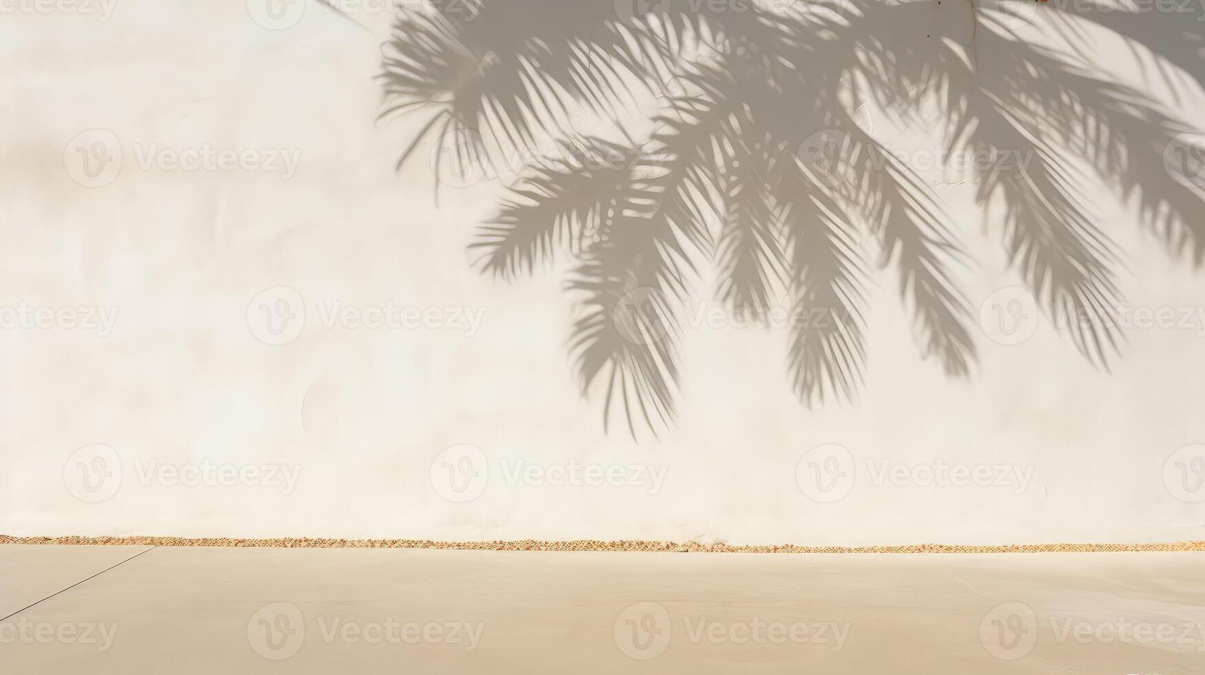 display palm tree shadow overlay photo