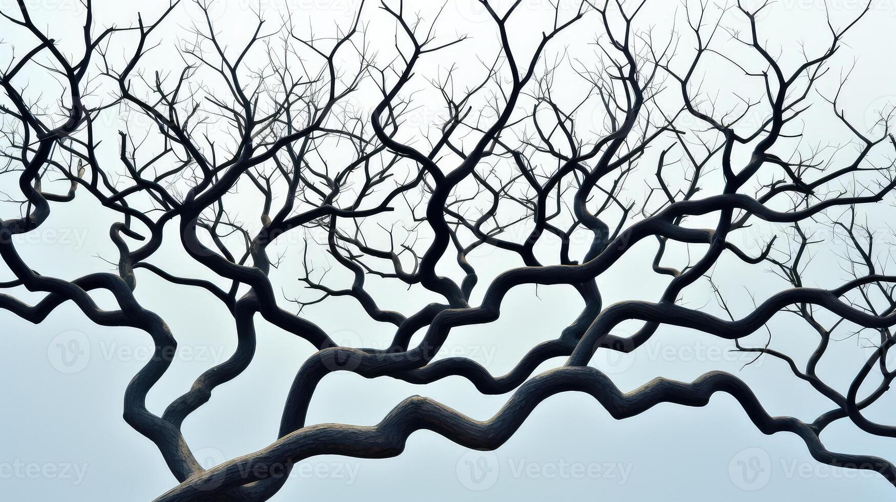 branches geometric trees photo