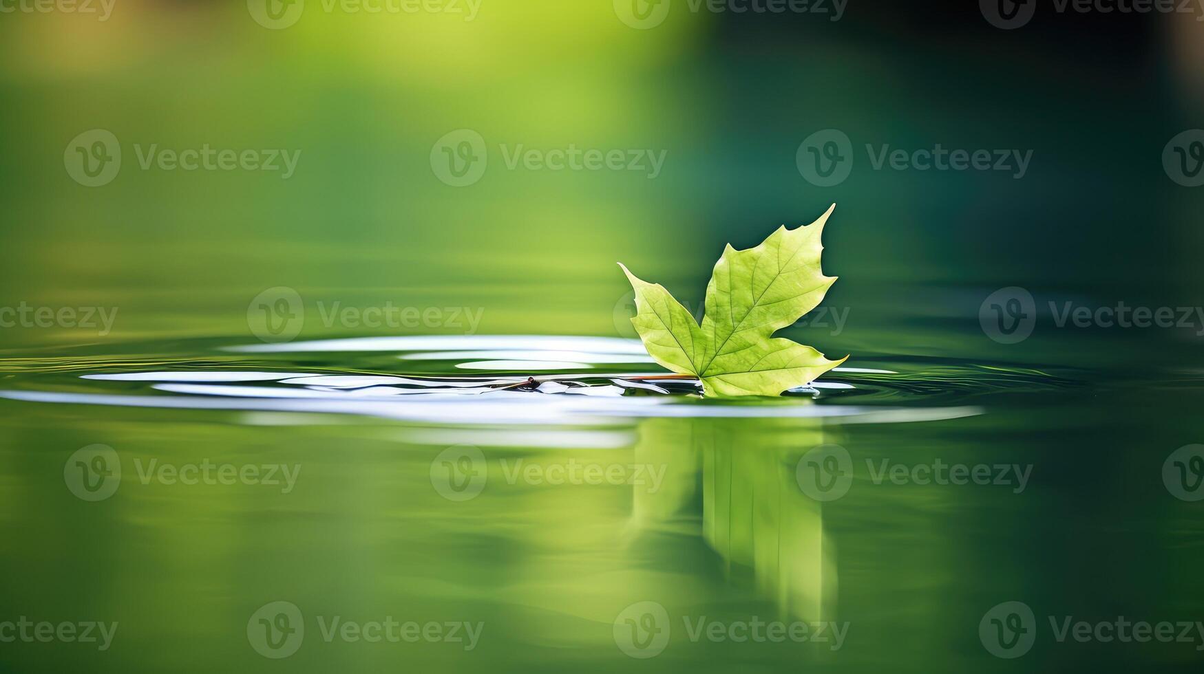 reflecti leaf floating on water photo