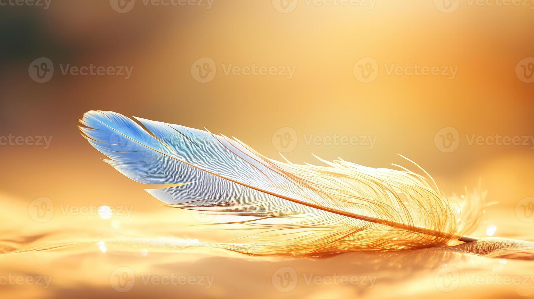 floating gold and blue feather photo