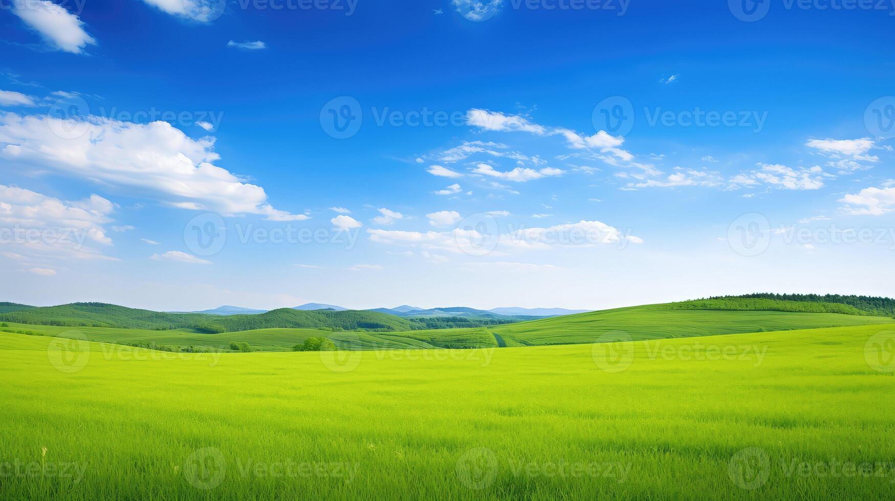 fields blue and green border photo