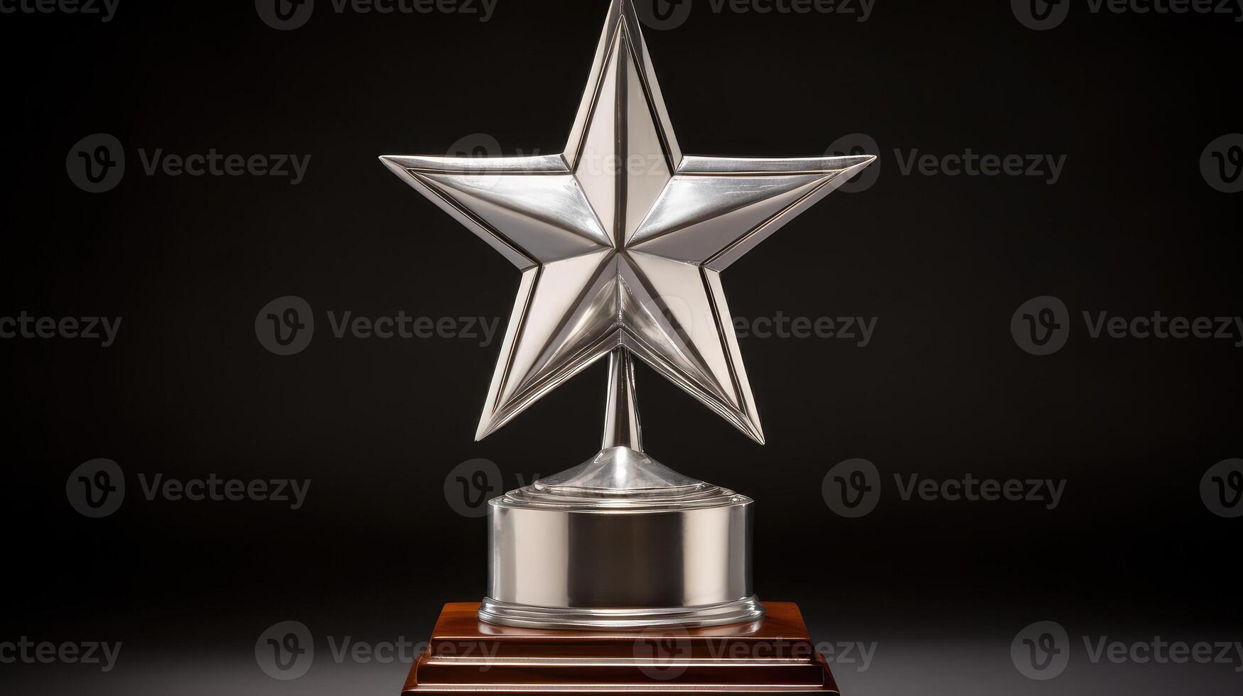 success silver star photo
