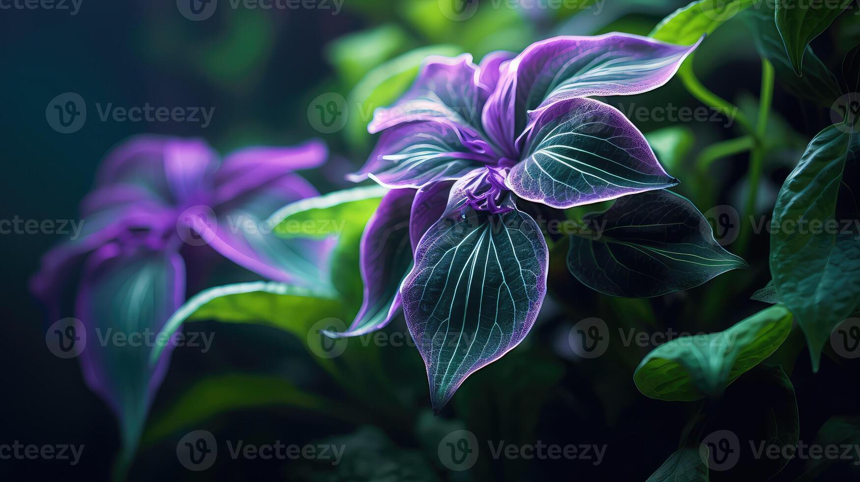 green alchemy plant photo