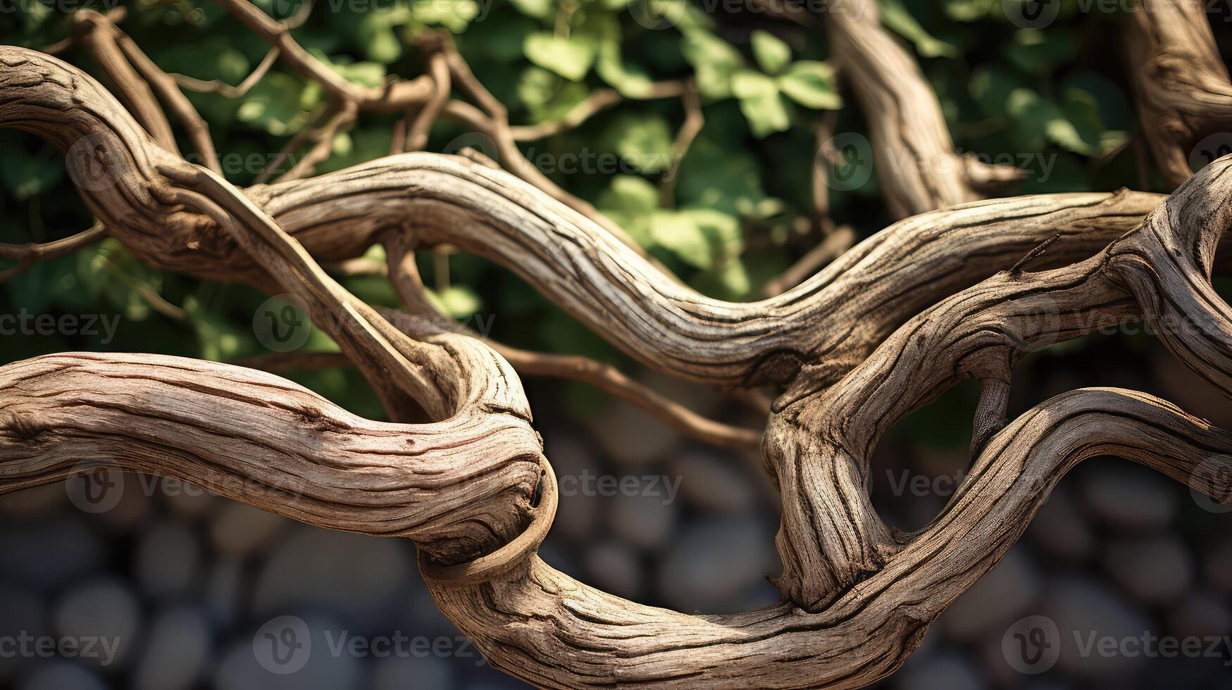 rough curve texture photo