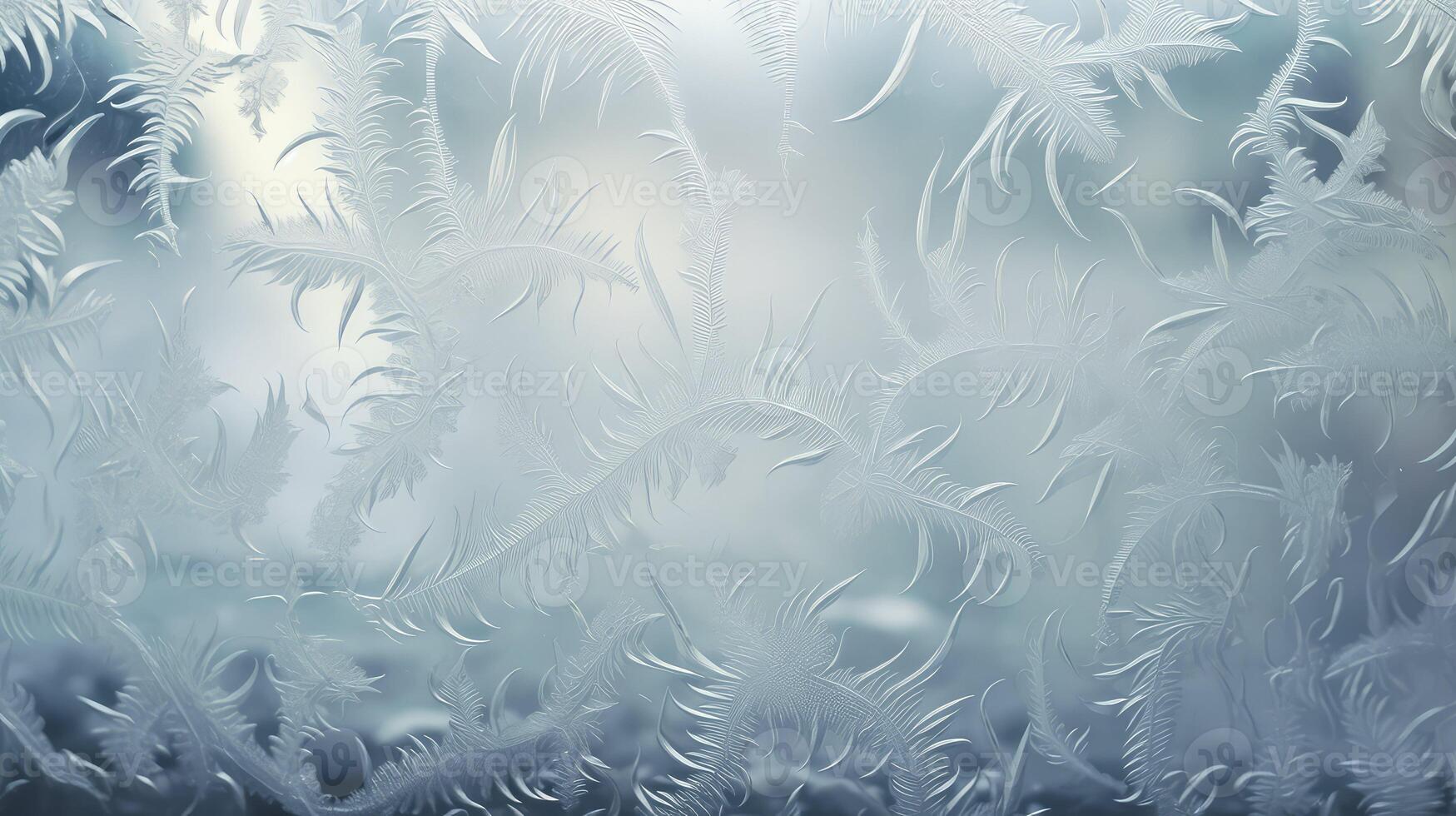 patterns transparent textures photo