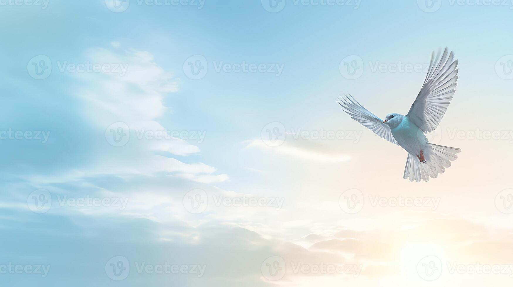 bird sky blue photo