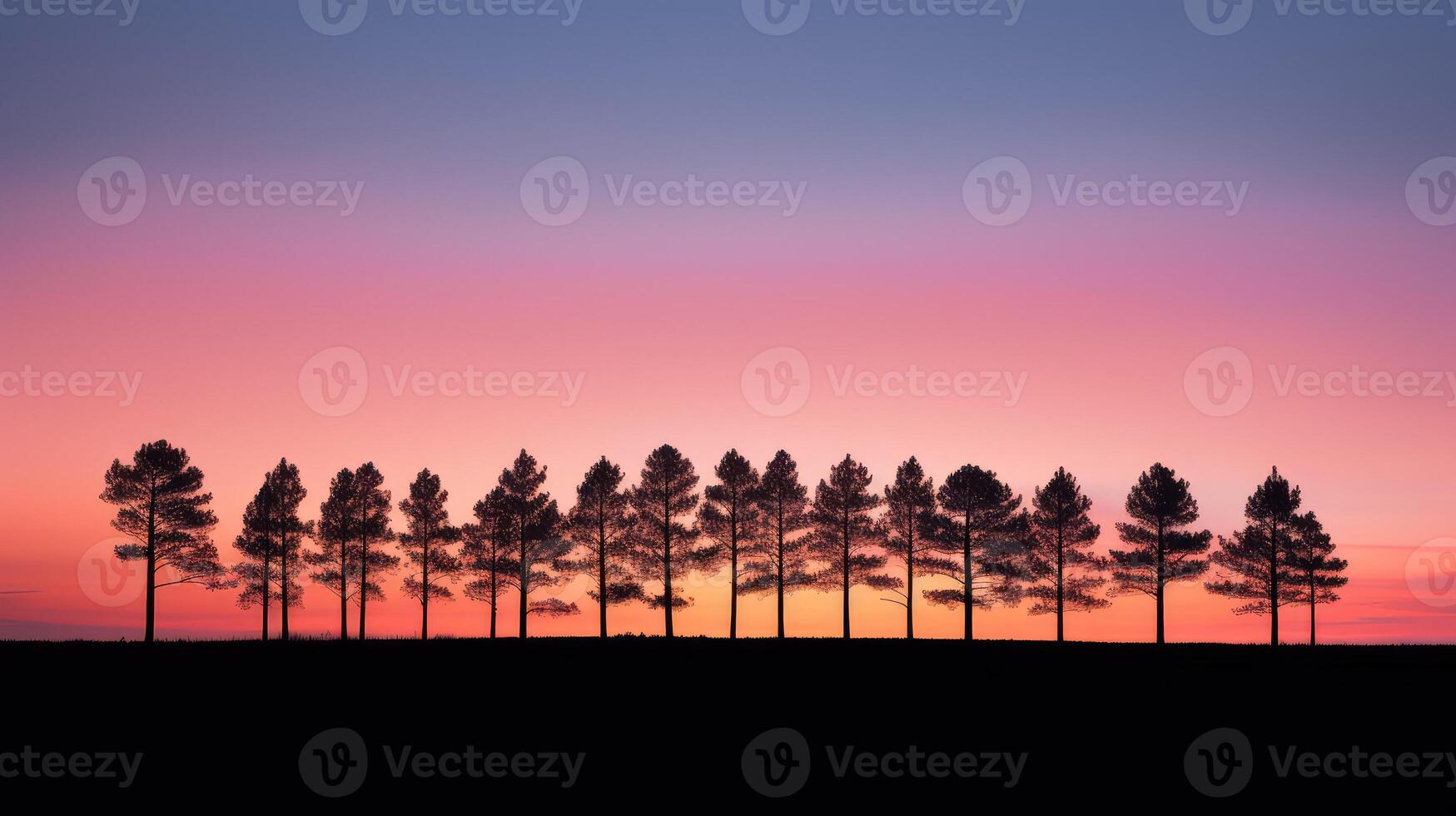 serene tree line photo