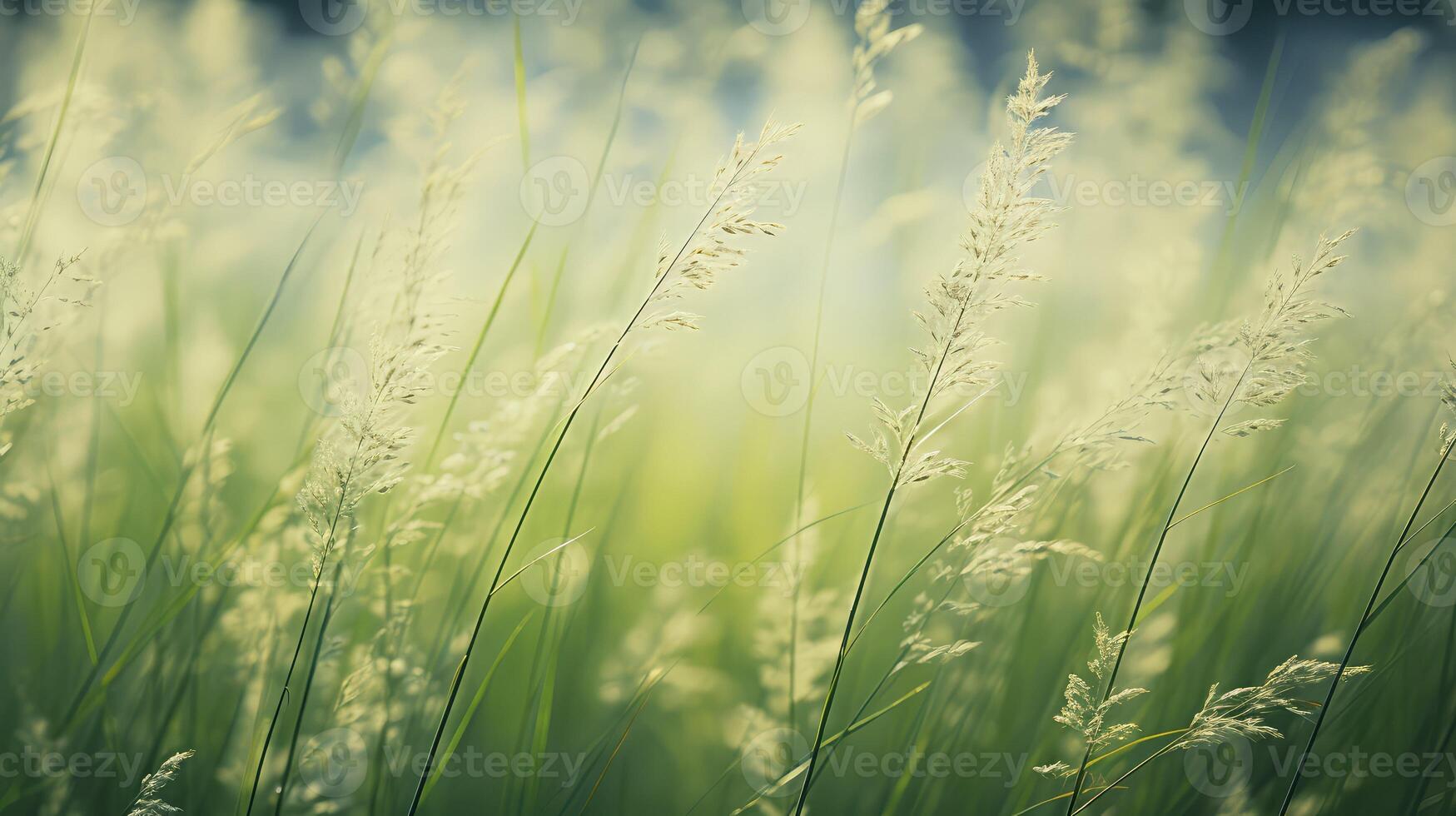soft repeating grass texture photo