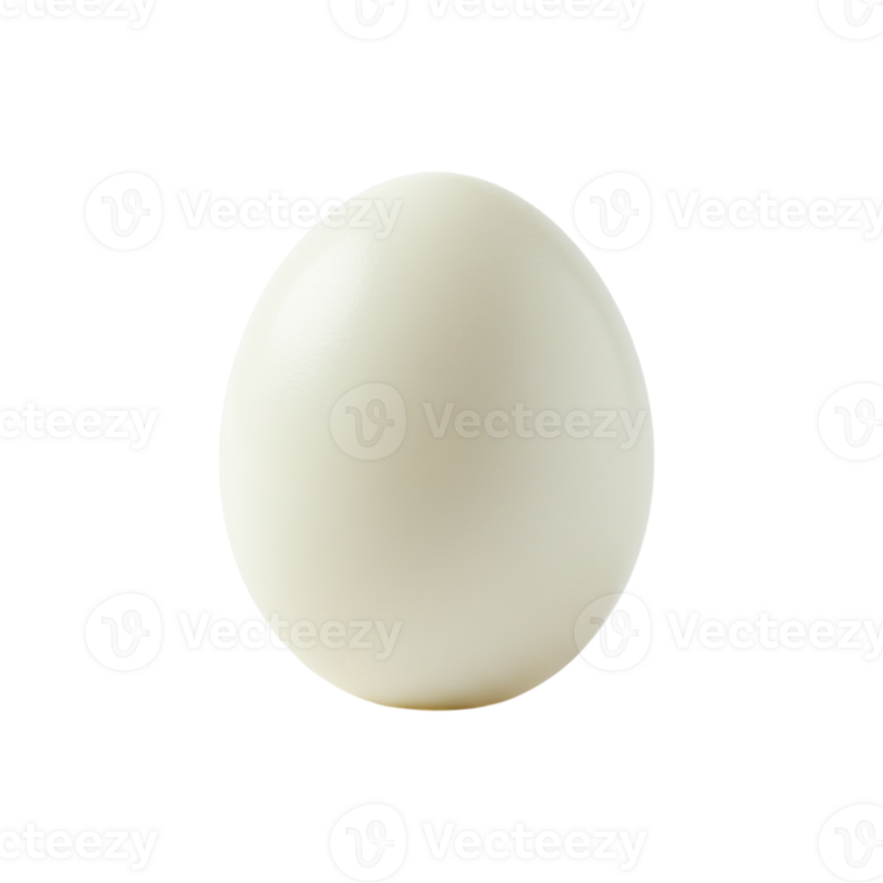 Egg creation process farm food photography natural setting close-up view culinary concept for seo impact png