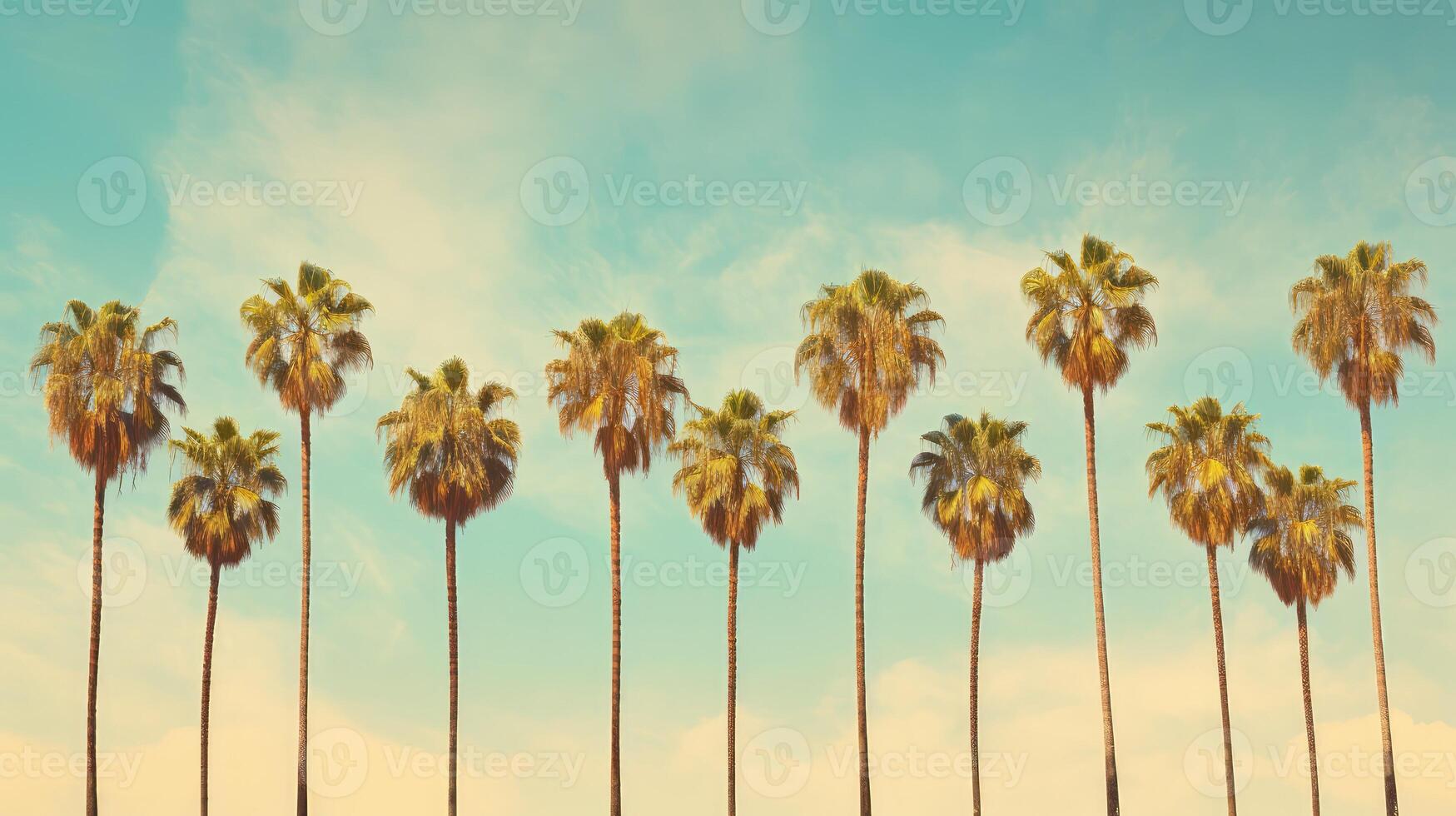 paradise vintage palm trees photo