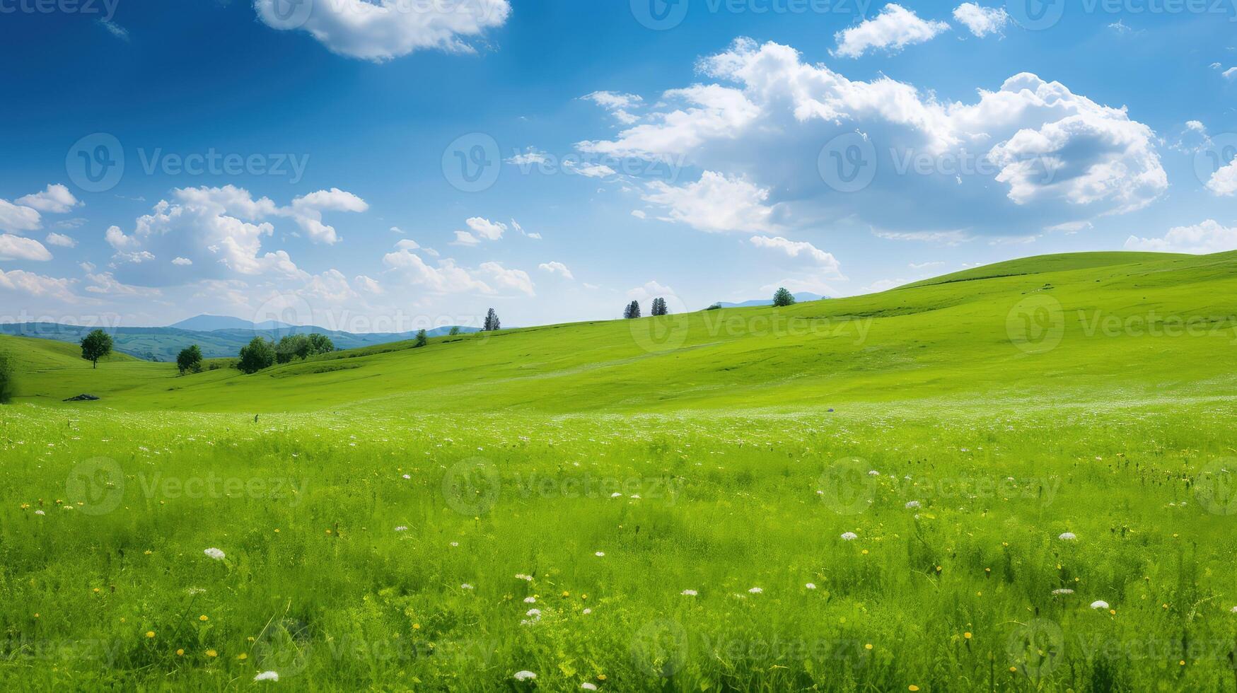 vibrant solid background green photo