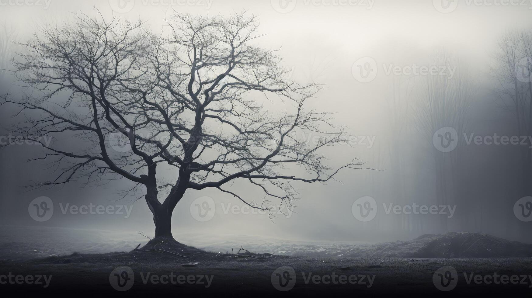 forest bare tree photo