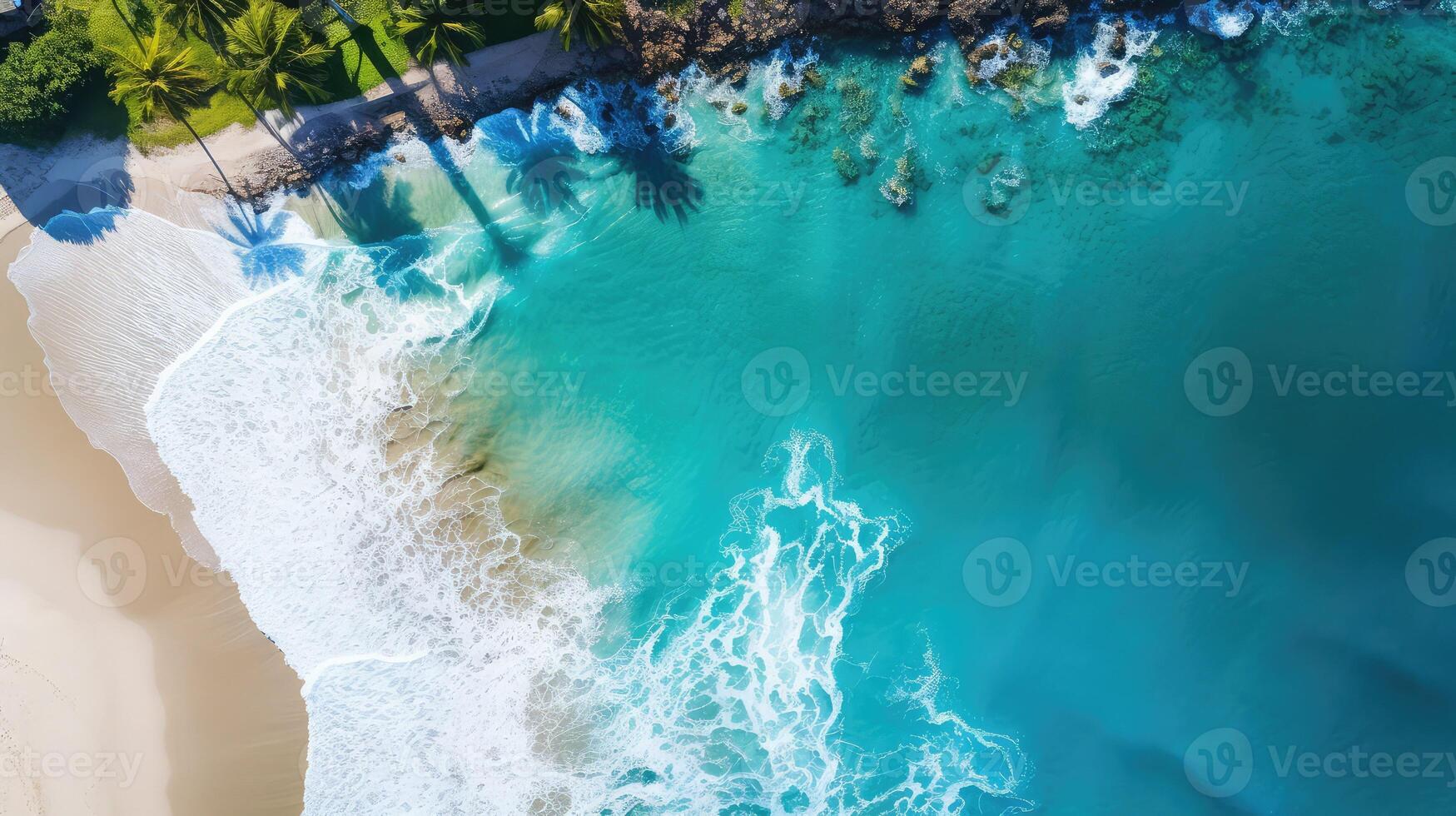beach ocean waters photo