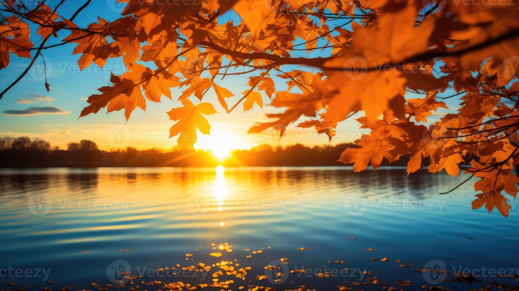colors gold fall background photo