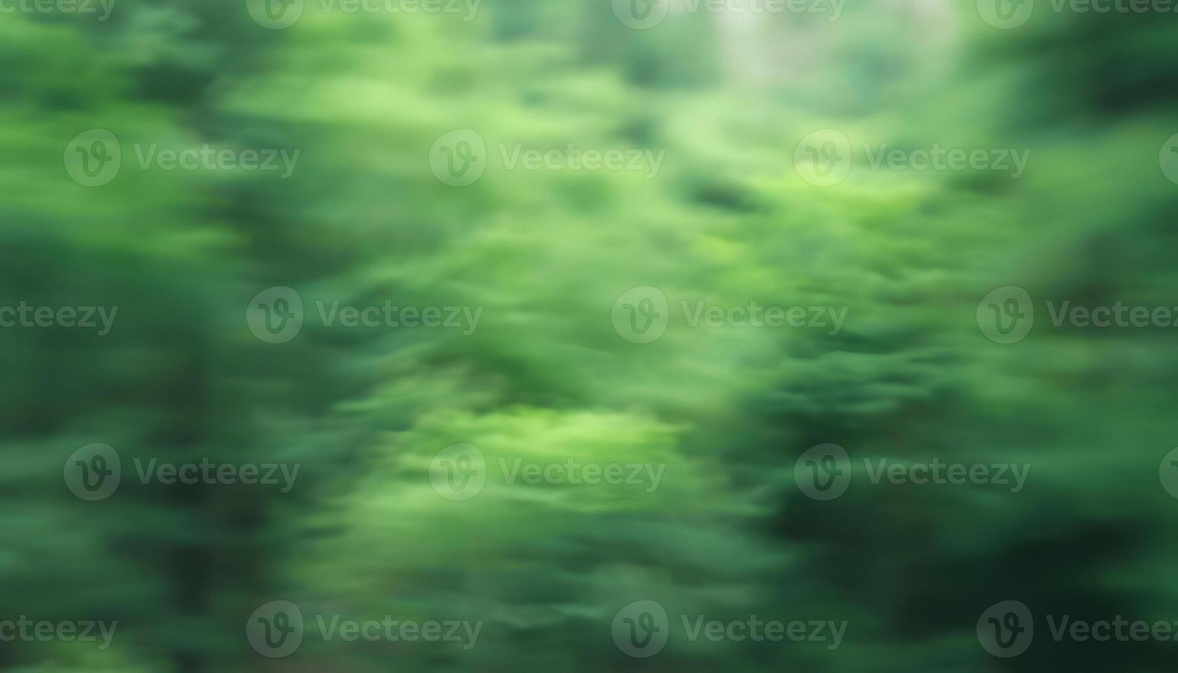 A blurry image of a forest with trees photo