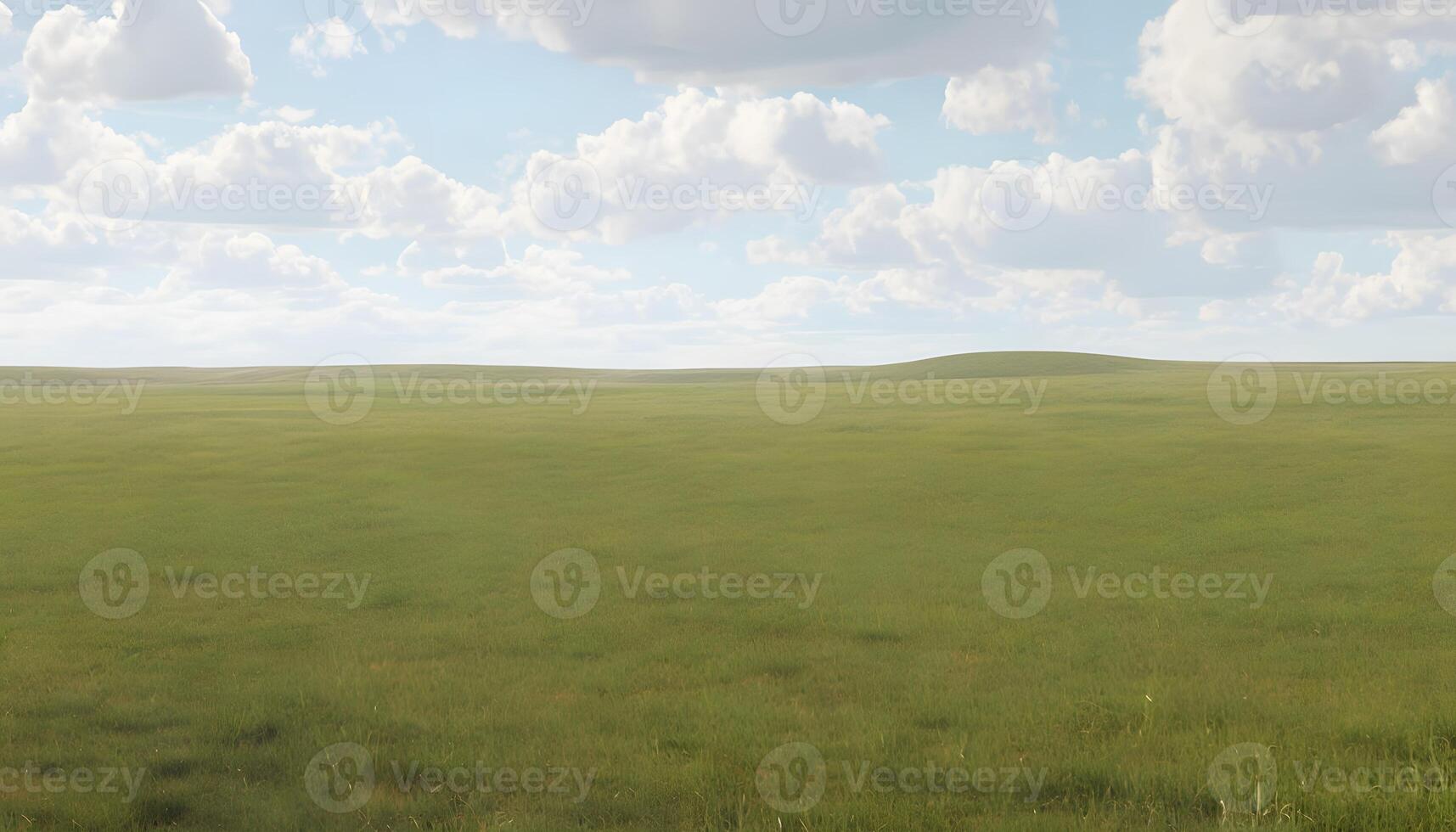 A cow is standing in a field with a sky in the background photo