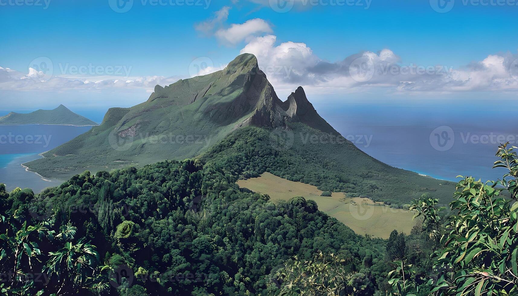 A mountain with trees photo