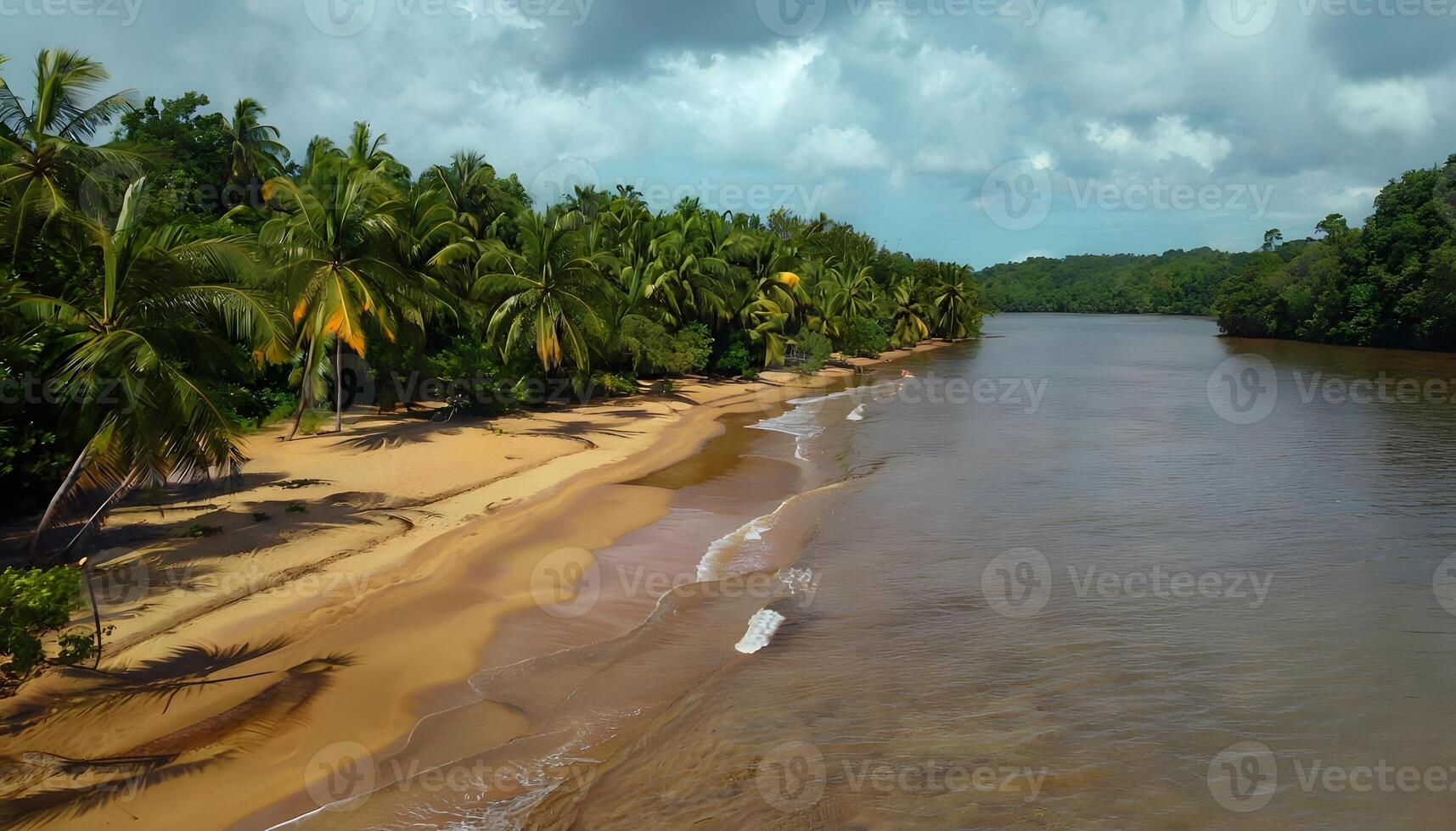 A beach with palm trees and water on a cloudy day photo