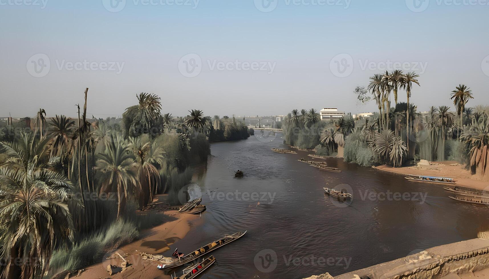 A river with boats on it and palm trees photo