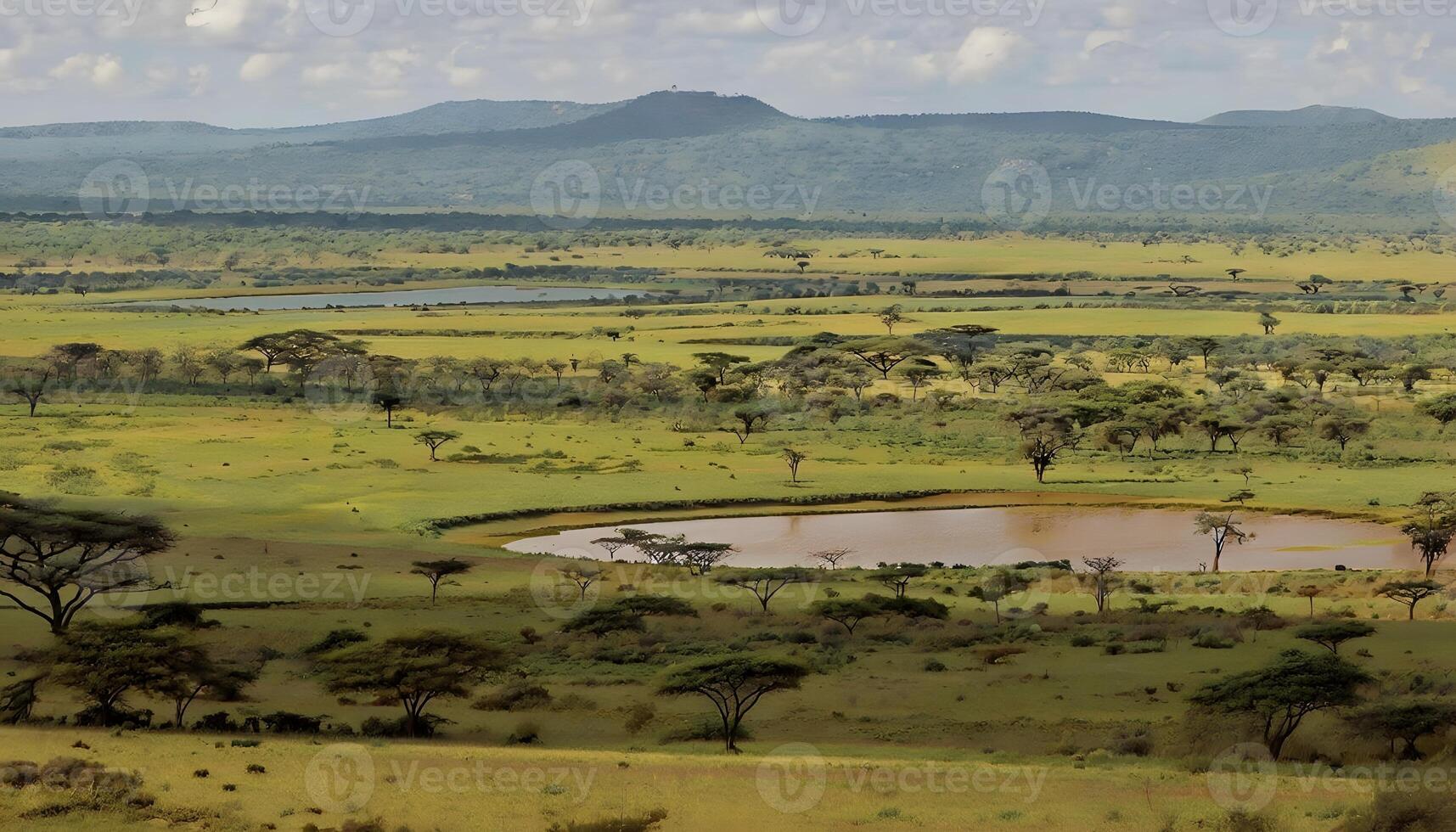 A large body of water photo
