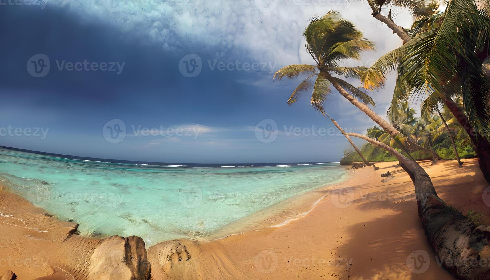 A beach with palm trees and a blue sky photo