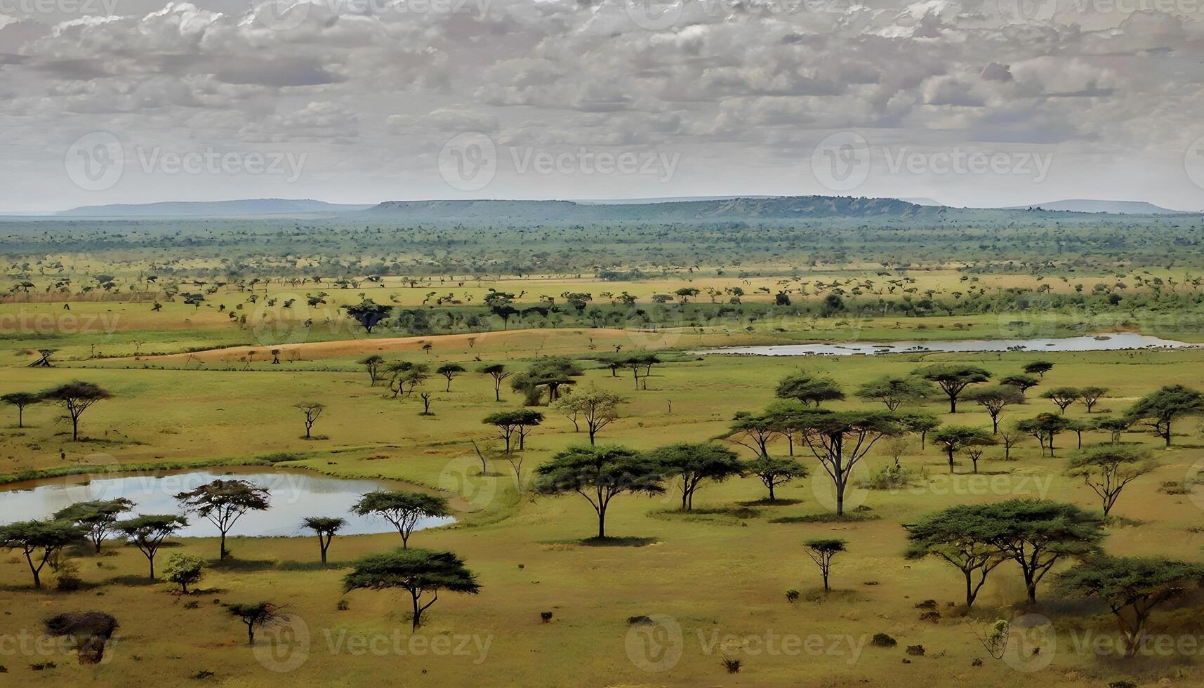 A large field with trees and a pond photo