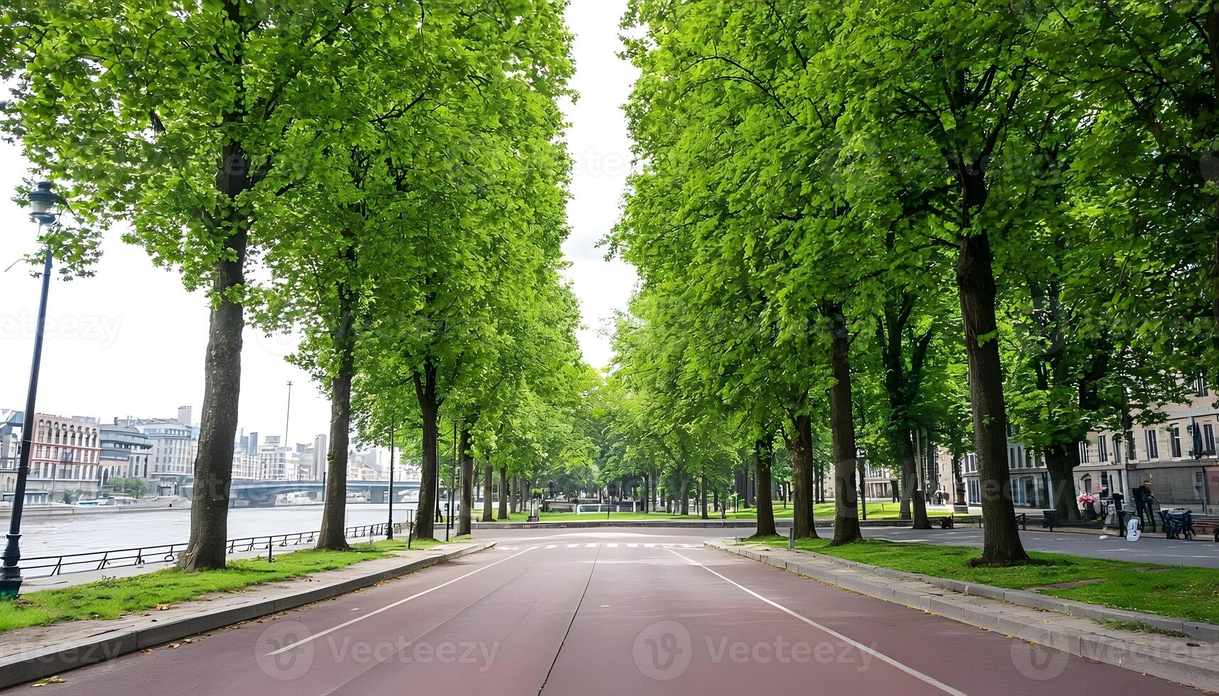 A street lined with trees and a river photo