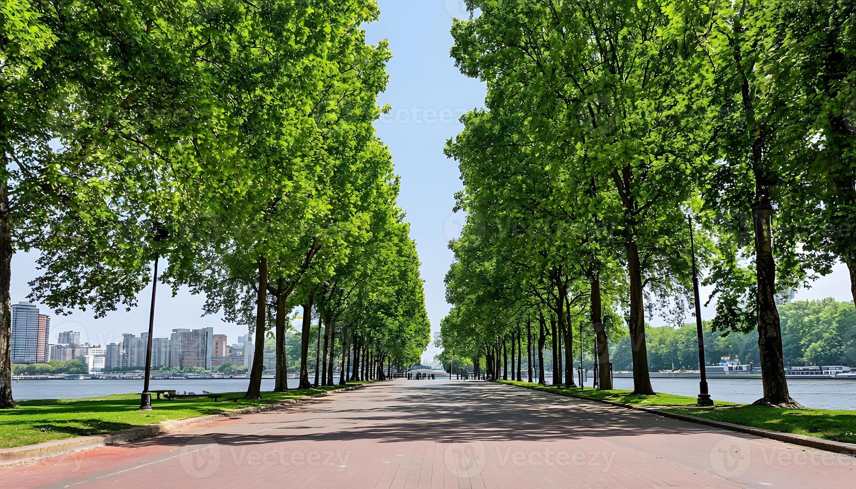 A row of trees lined up along a road photo