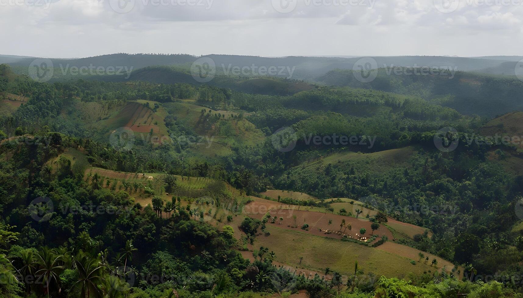 A view of the hills and trees in the jungle photo