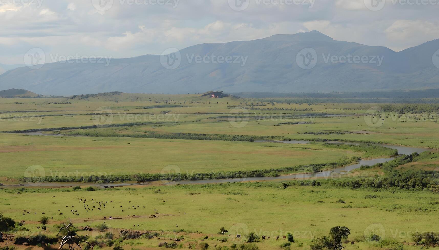 A river in the middle of a field photo