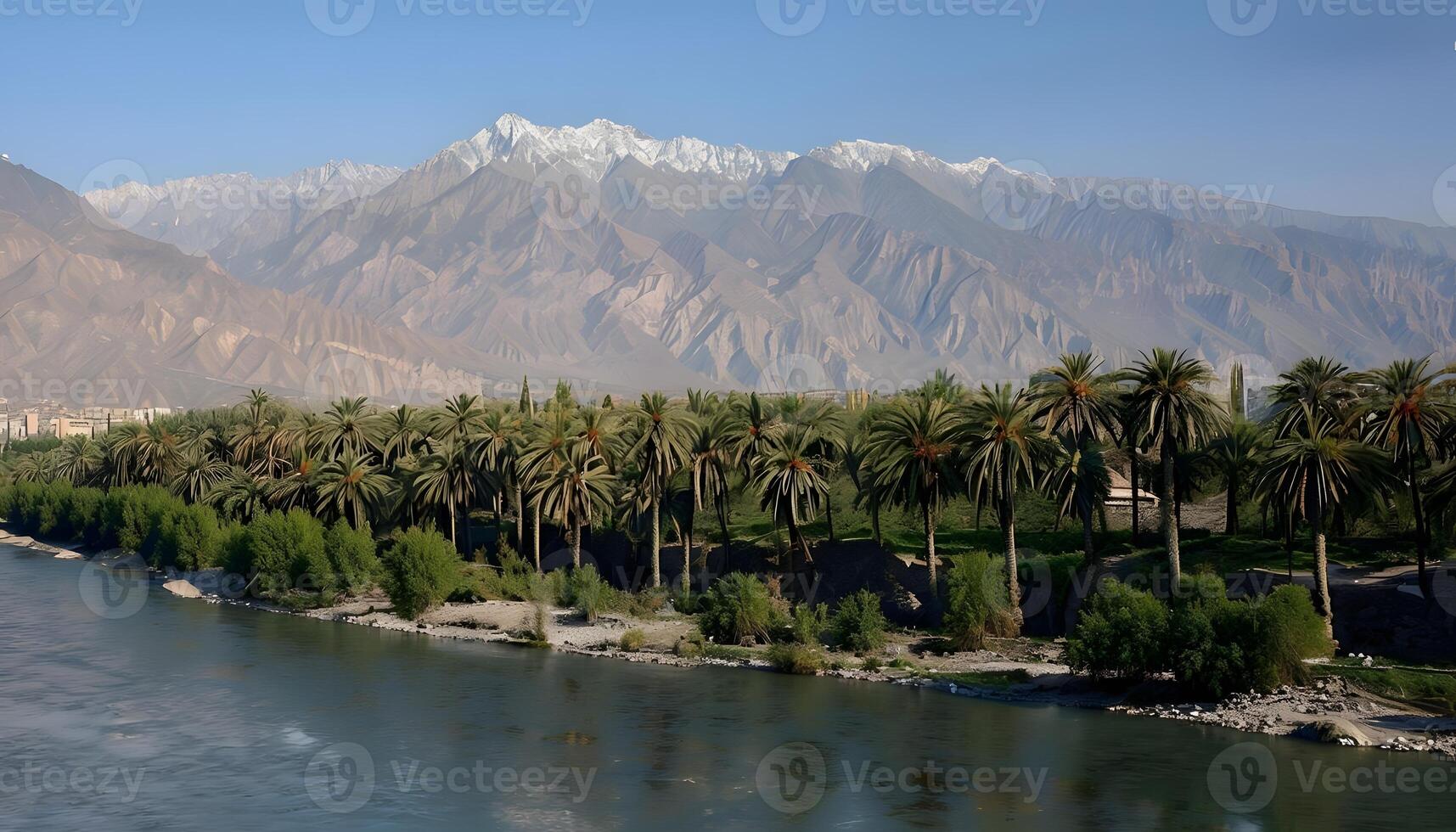 A river with palm trees and mountains in the background photo