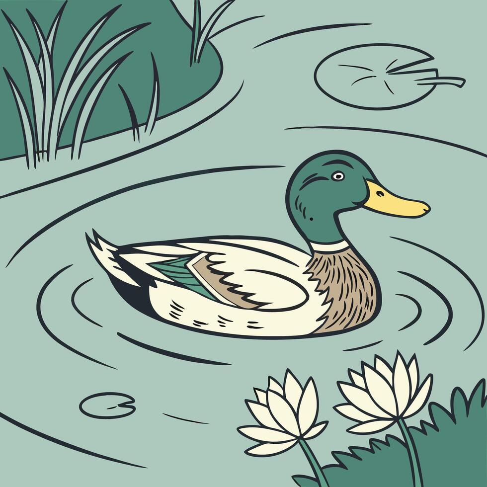 Illustration of duck bird vector