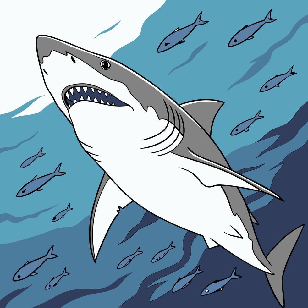 Illustration of shark animal vector
