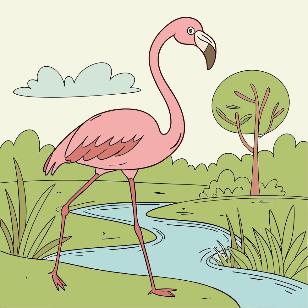 Flamingo bird illustration vector