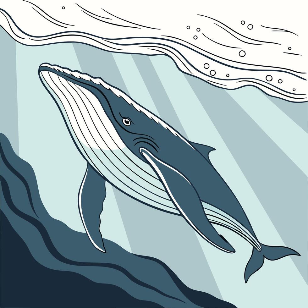 The illustration of whale animal vector