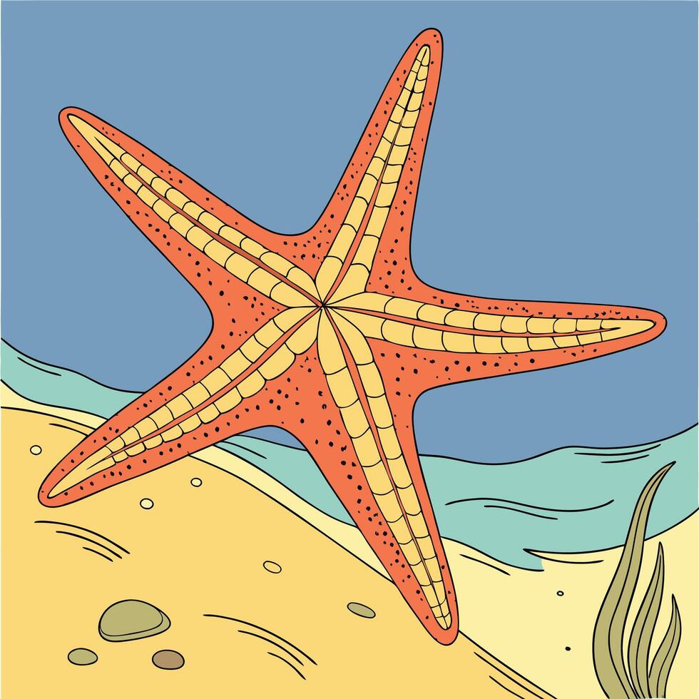 The illustration of starfish vector