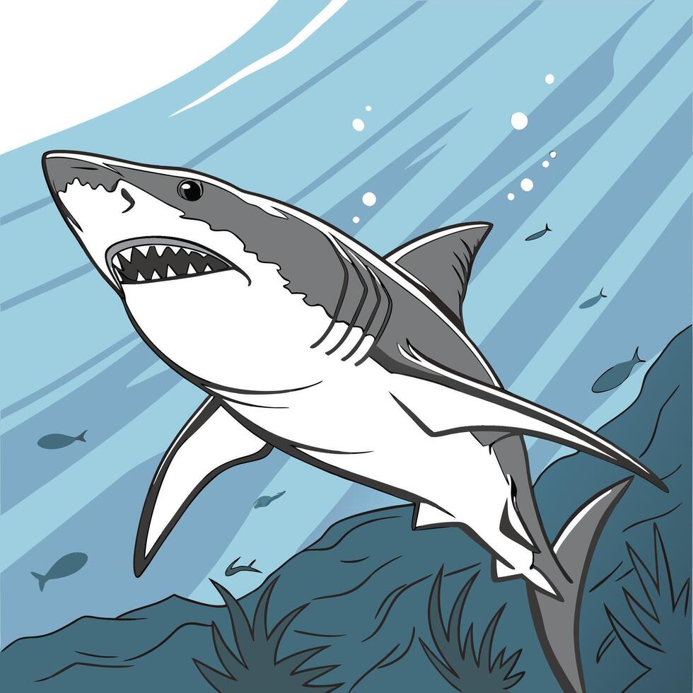 The illustration of shark vector