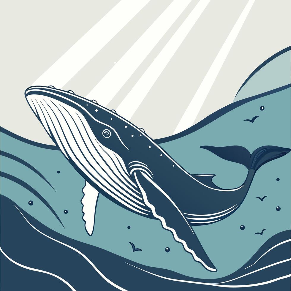The illustration of whale vector