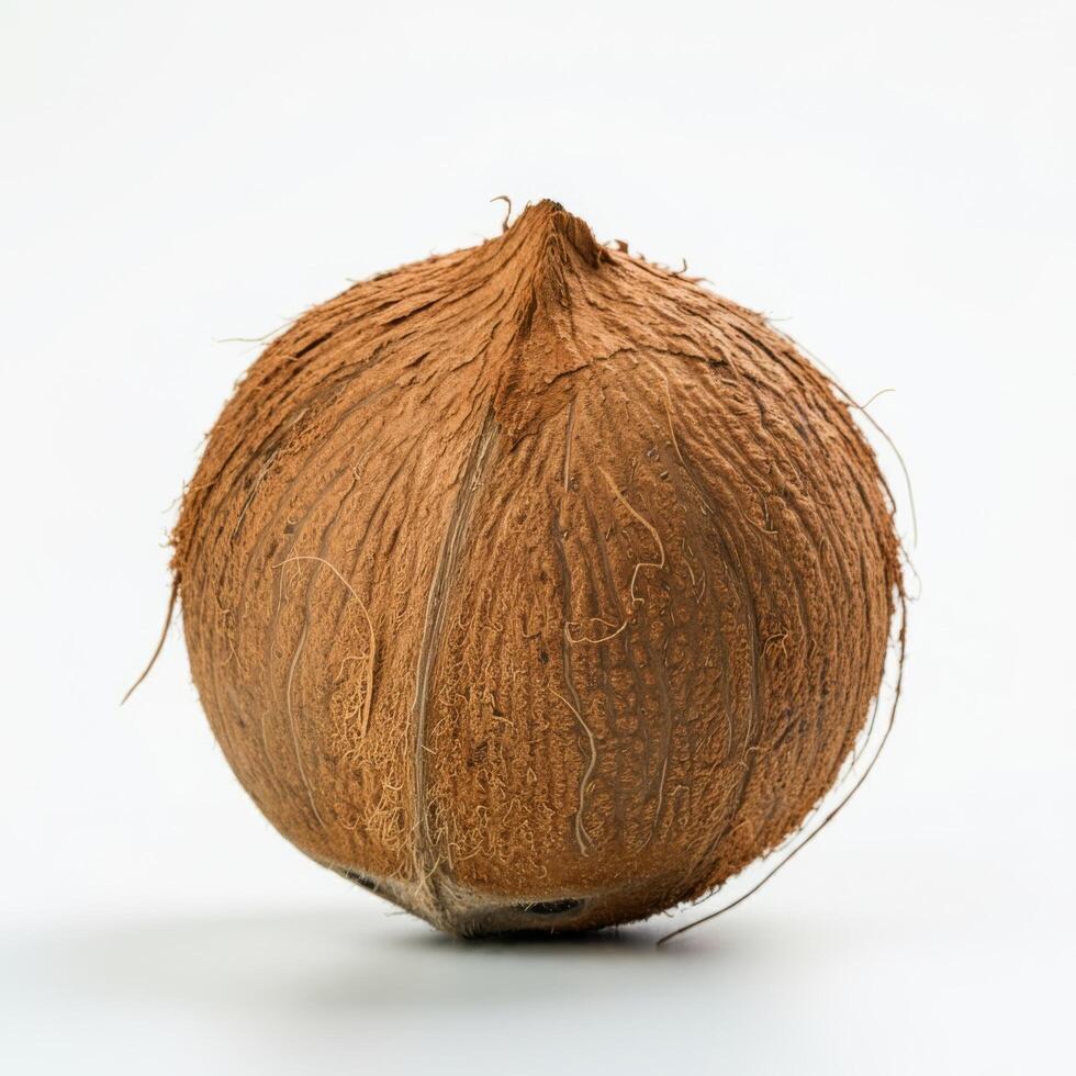 Natural Whole Coconut on Minimalist White Base photo