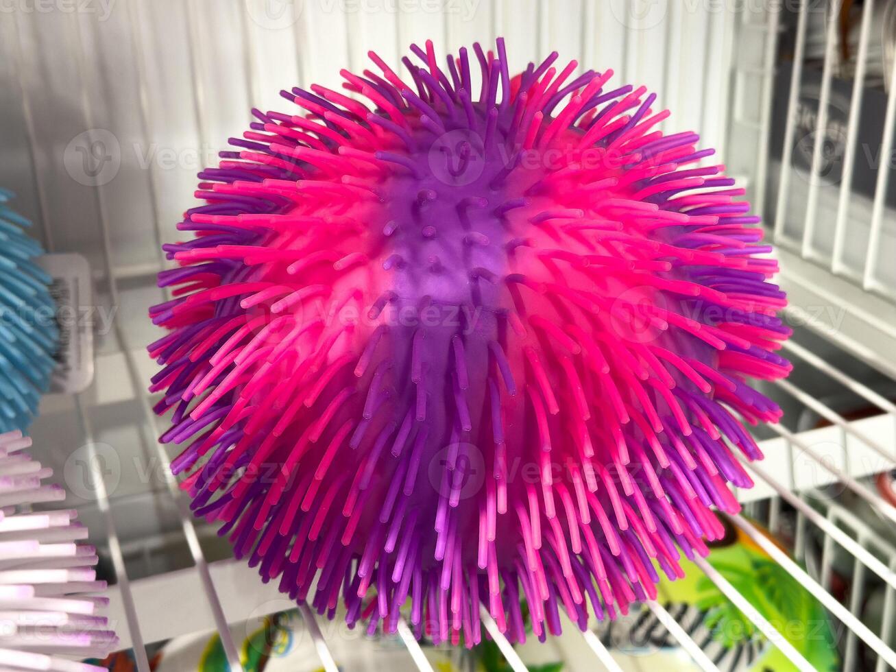 Colorful spiky sensory ball in vibrant pink and purple on display shelf photo