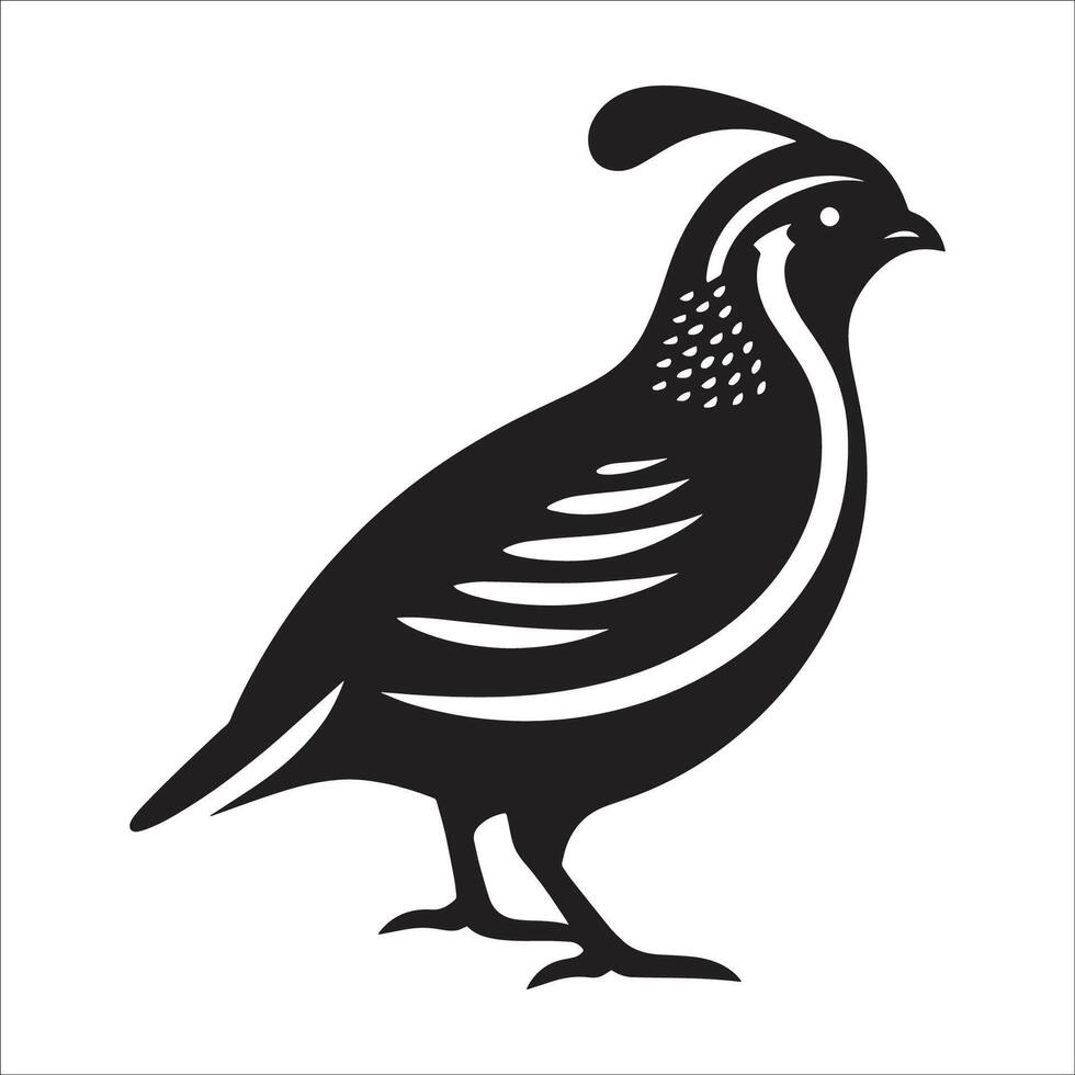 Quail Bird Silhouette Design Illustration On White Background vector
