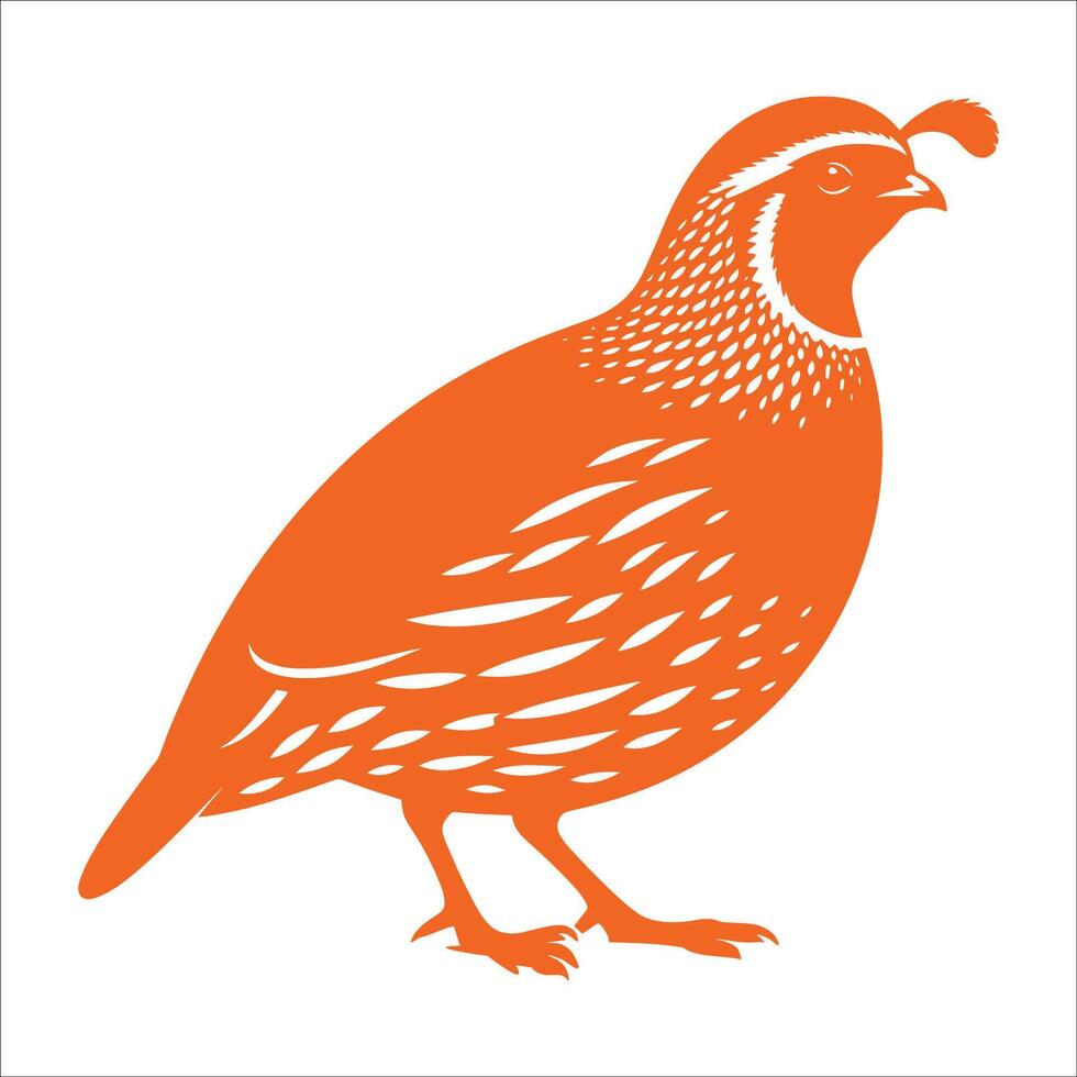 Simple Cute Quail Bird Silhouette Design Illustration On White Background vector