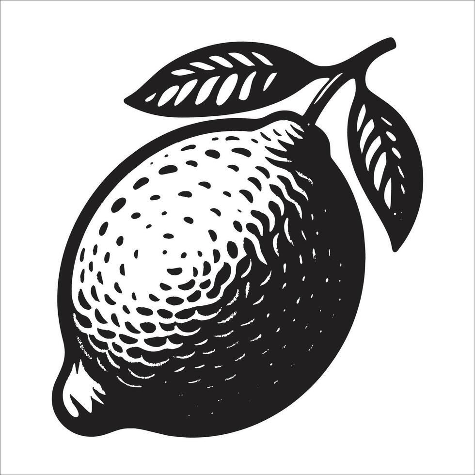 Lemon Fruit Silhouette vector