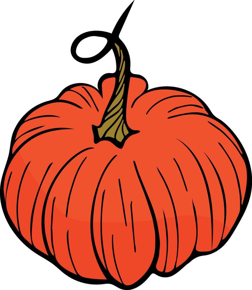 pumpkin vegetable illustration vector