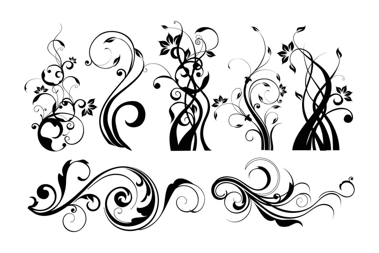 Floral decorative elements art on black colour vector