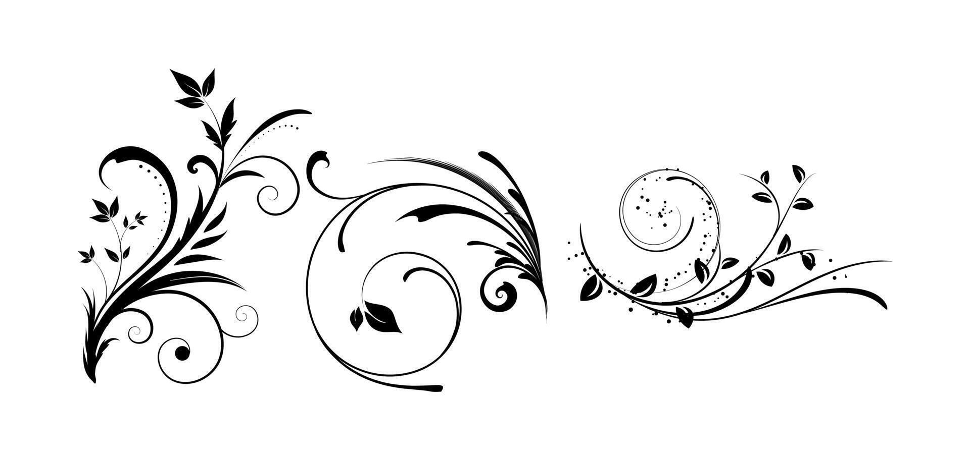 Various different floral designs on black and white colour vector