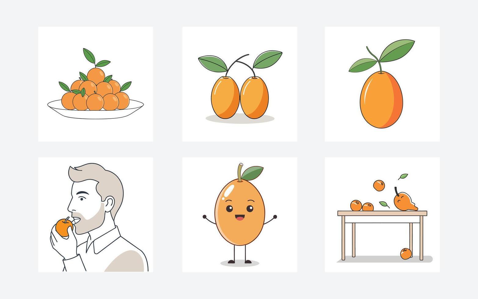 Exquisite Kumquat Illustrations for Creative Design Projects vector