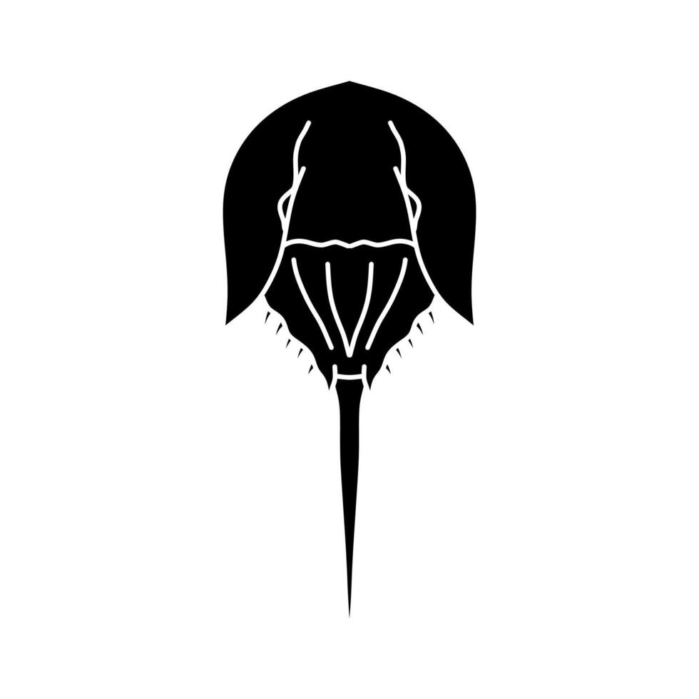 horseshoe crab illustration. vector