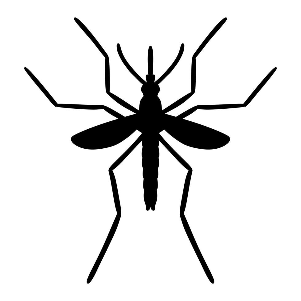 Mosquito Isolated On White Background vector
